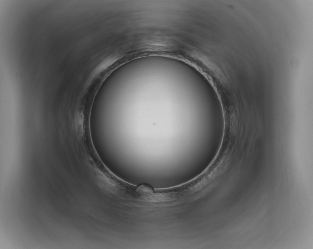 X0000111631402200907171517