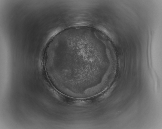 X0000111631405200907171517