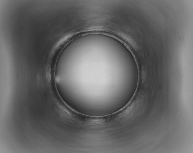 X0000111631406200907171517
