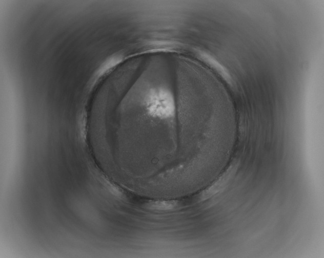 X0000111631411200907171517