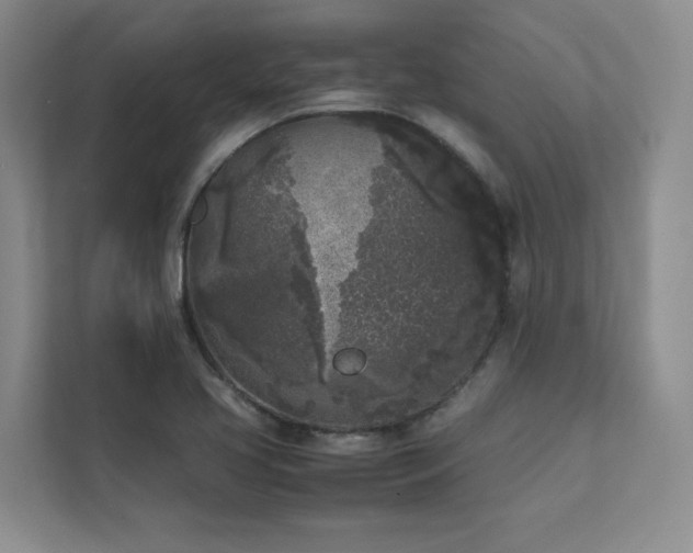 X0000111631413200907171517