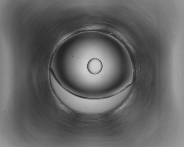 X0000111631417200907171517