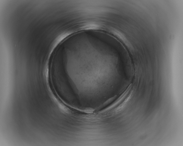 X0000111631418200907171517
