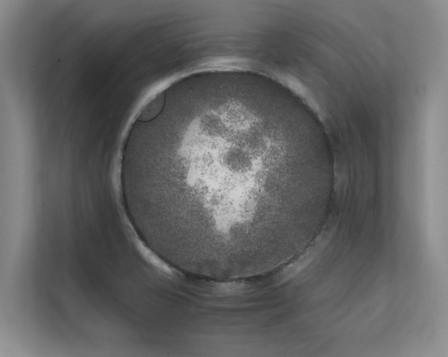 X0000111631421200907171518