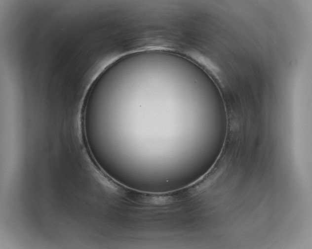 X0000111631423200907171518