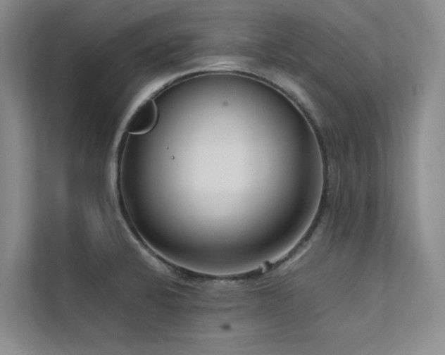 X0000111631424200907171518