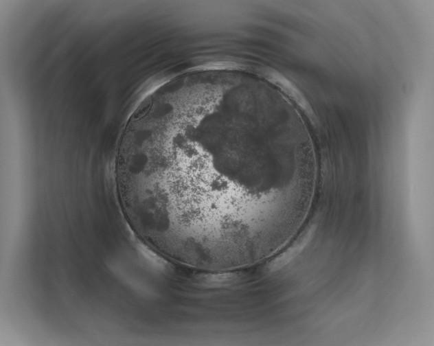 X0000111631425200907171518