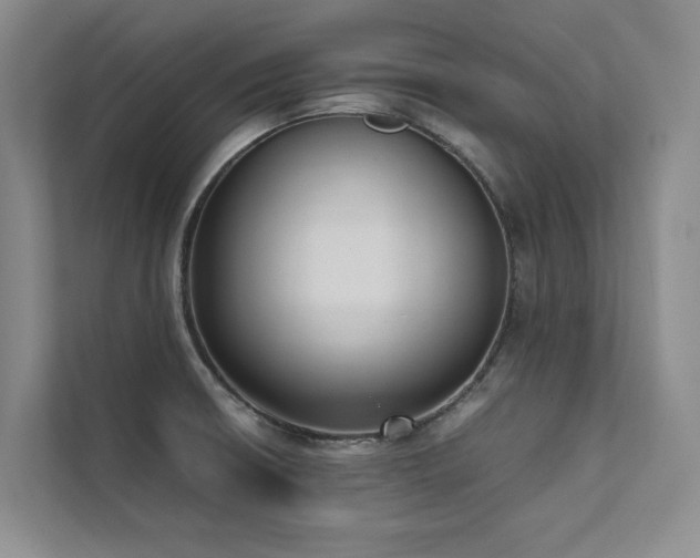 X0000111631426200907171518