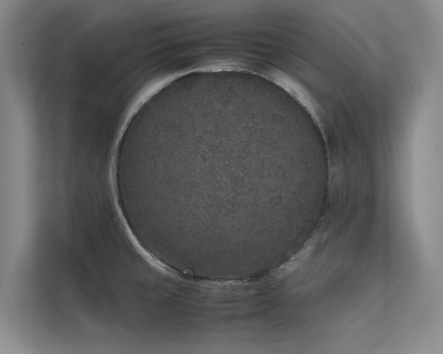 X0000111631429200907171518