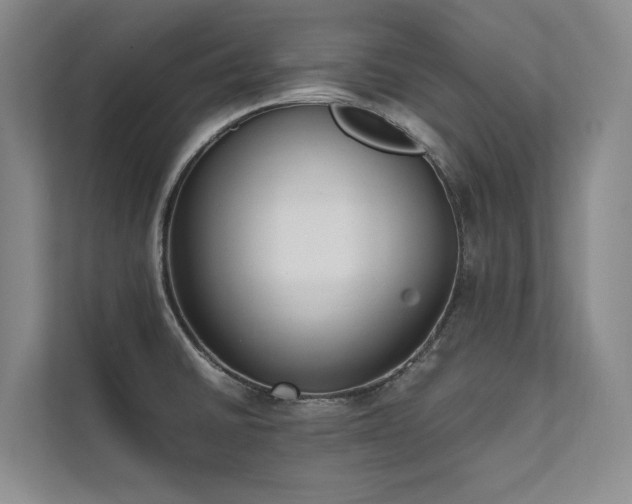 X0000111631430200907171518