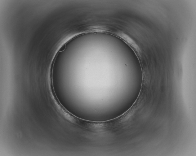 X0000111631431200907171518
