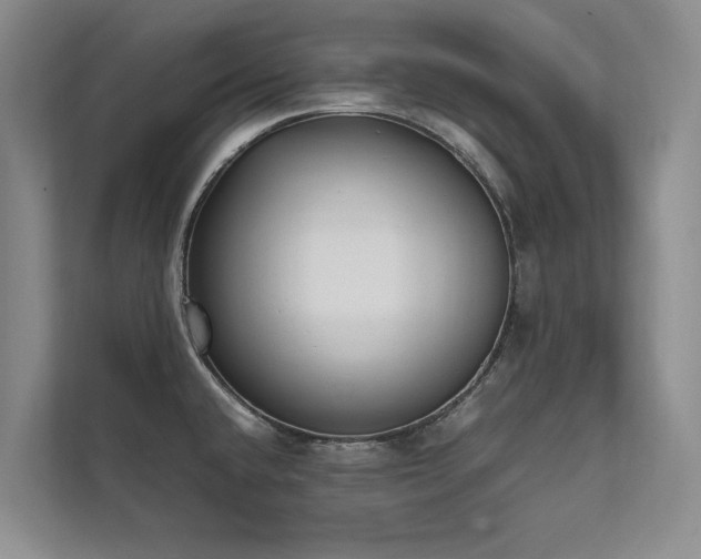 X0000111631432200907171518