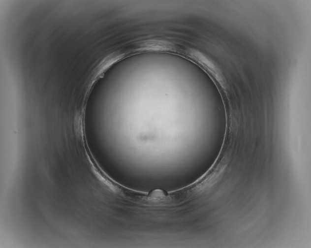 X0000111631433200907171518