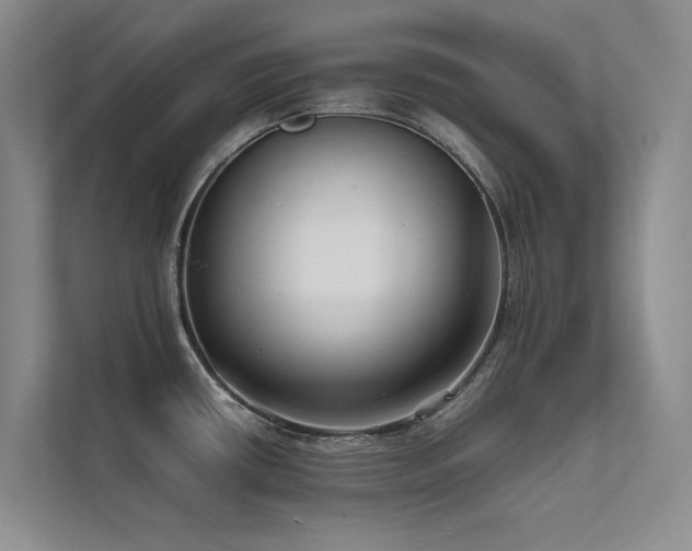 X0000111631434200907171518