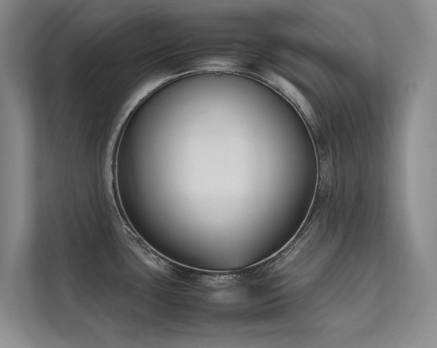 X0000111631435200907171518