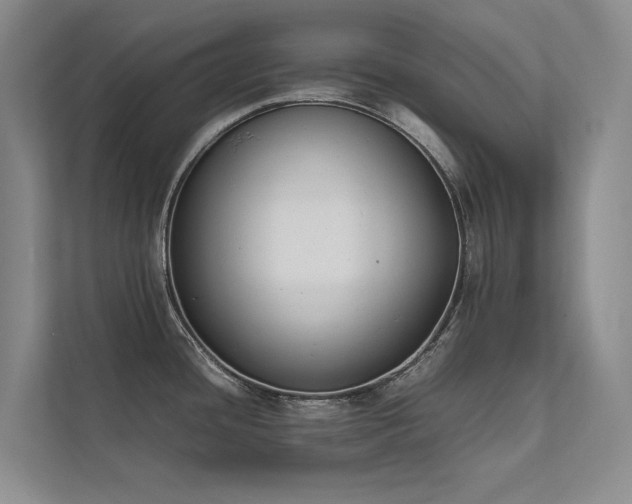 X0000111631436200907171518