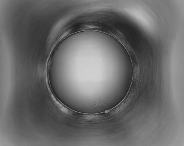X0000111631439200907171518