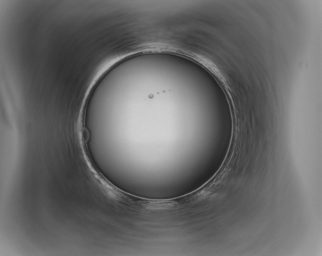 X0000111631440200907171518