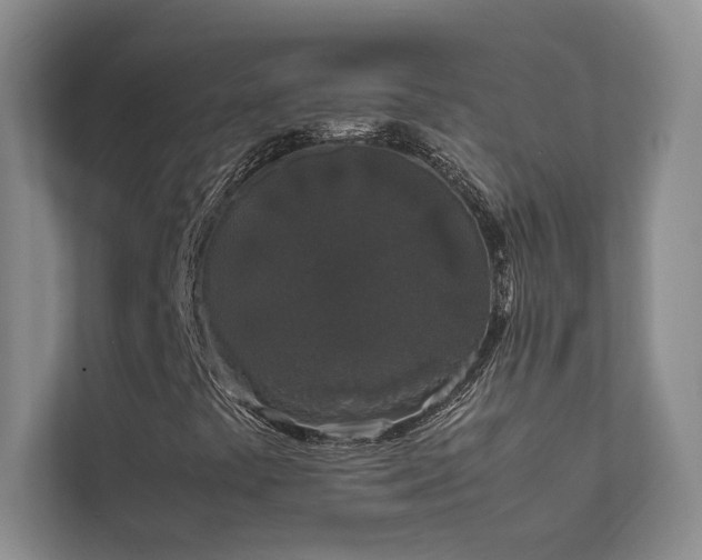 X0000111631441200907171517