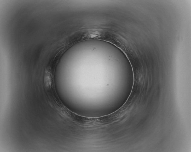 X0000111631442200907171517