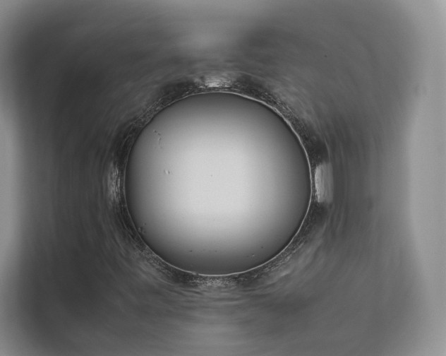 X0000111631443200907171517