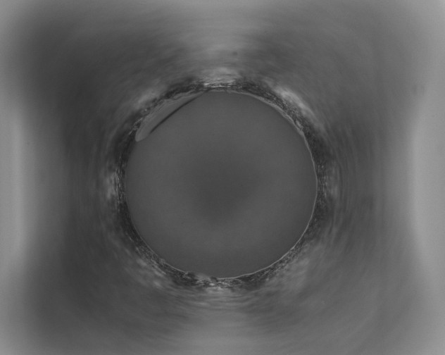 X0000111631445200907171517