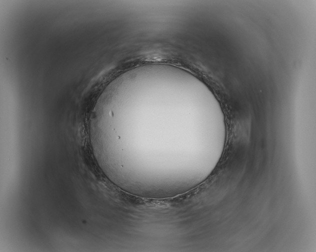 X0000111631446200907171517