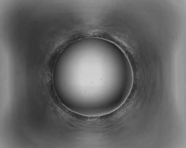 X0000111631447200907171517