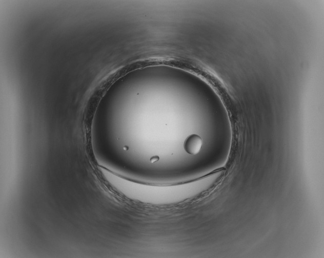 X0000111631448200907171517