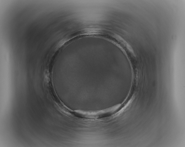 X0000111631449200907171517