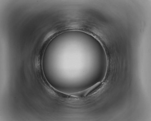 X0000111631450200907171517