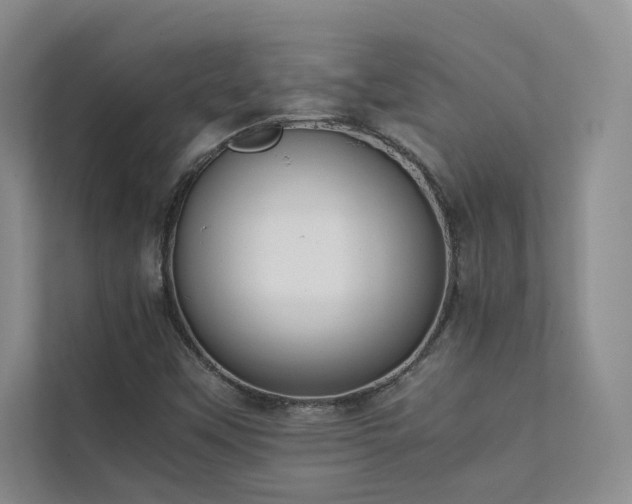 X0000111631451200907171517