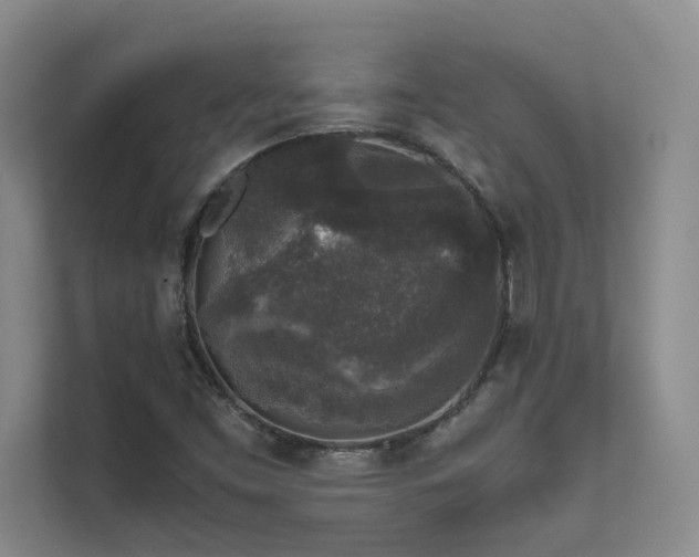 X0000111631453200907171517