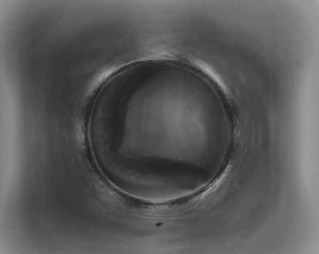 X0000111631455200907171517