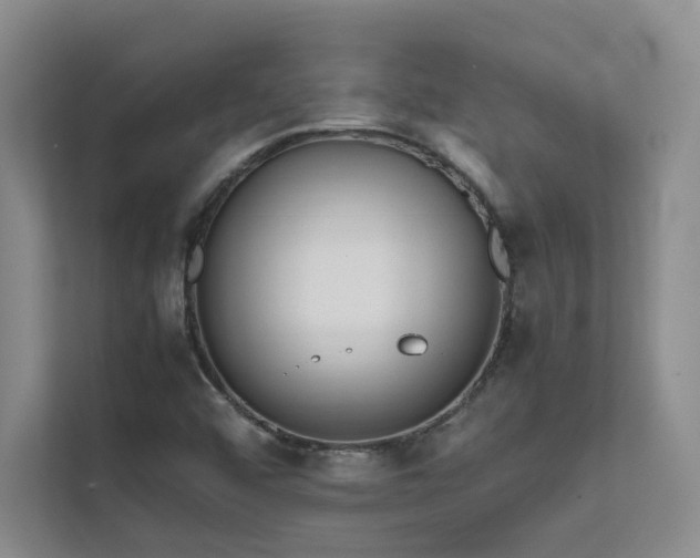 X0000111631456200907171517