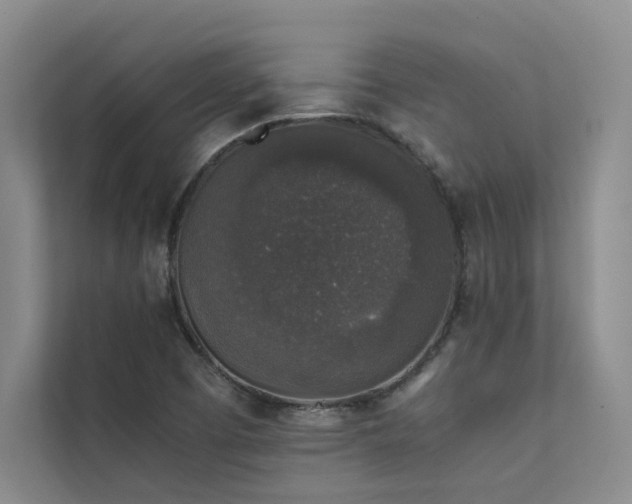 X0000111631457200907171517