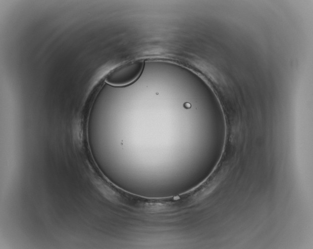 X0000111631458200907171517