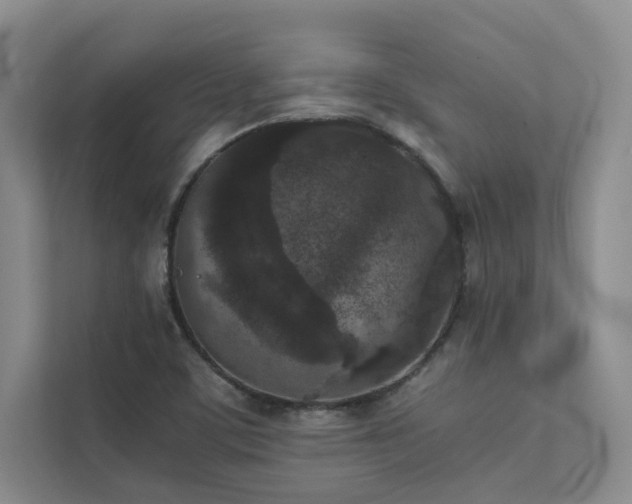 X0000111631459200907171517