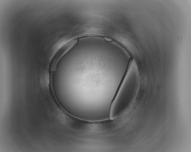 X0000111631461200907171517