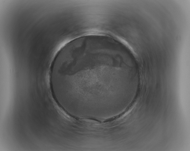 X0000111631463200907171517
