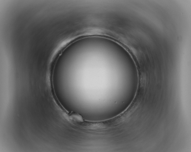 X0000111631464200907171517