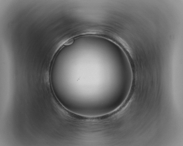 X0000111631465200907171517