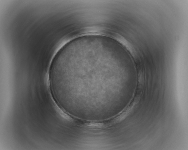 X0000111631466200907171517