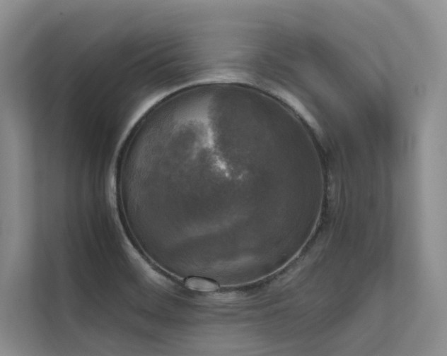 X0000111631468200907171517