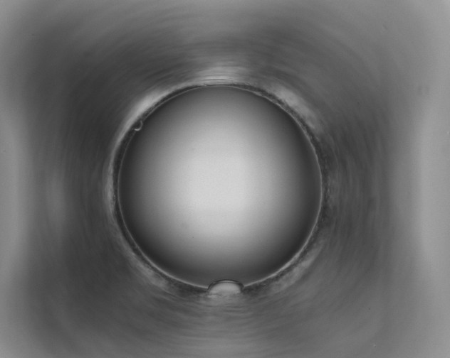 X0000111631469200907171517