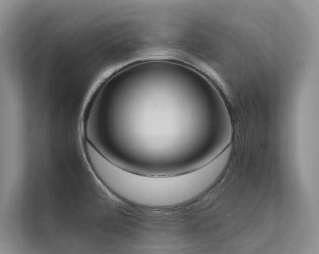 X0000111631472200907171517