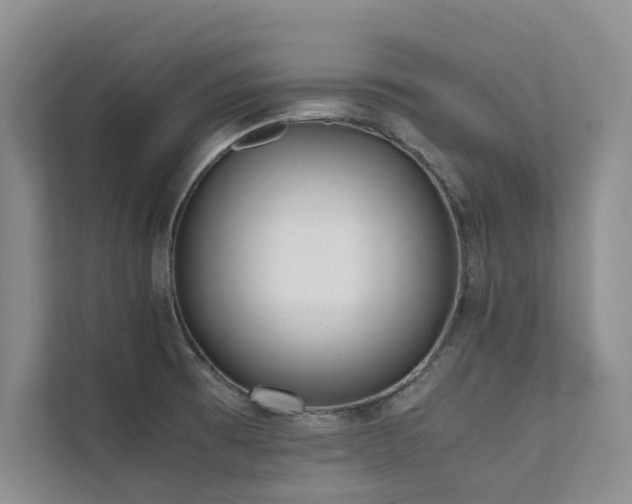 X0000111631473200907171517