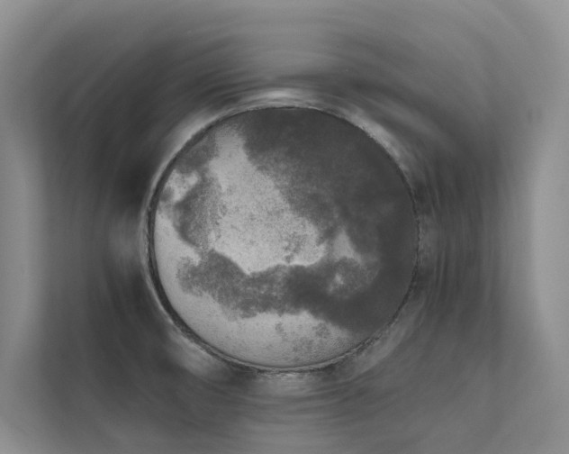 X0000111631474200907171517