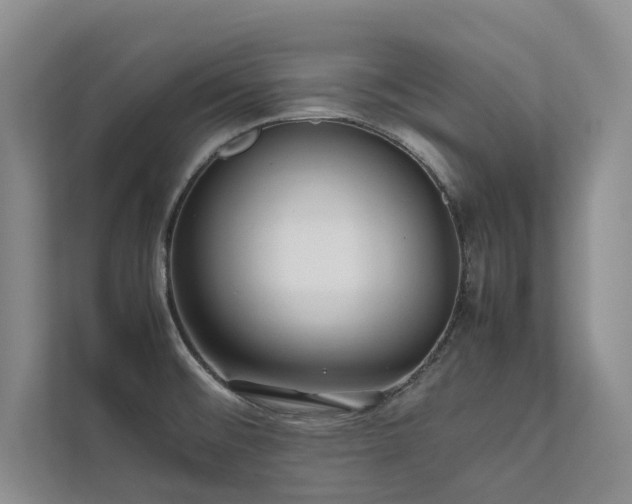 X0000111631476200907171517