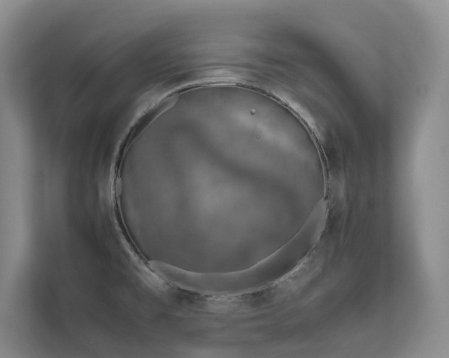 X0000111631477200907171517
